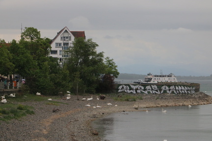 IMG 3638
